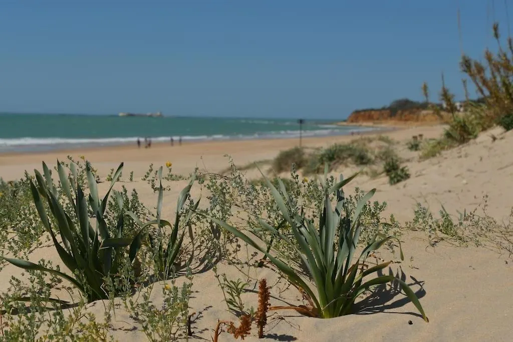 Apartamento En Playa La Barrosa Chiclana de la Frontera